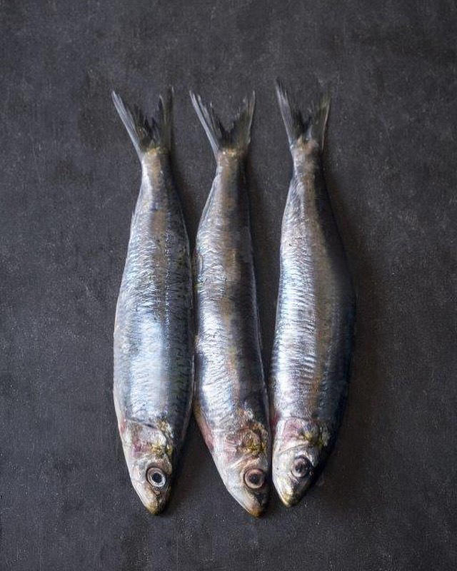 image  1 Marsan par Hélène Darroze - L’anchois des pêches de la Côte Basque…